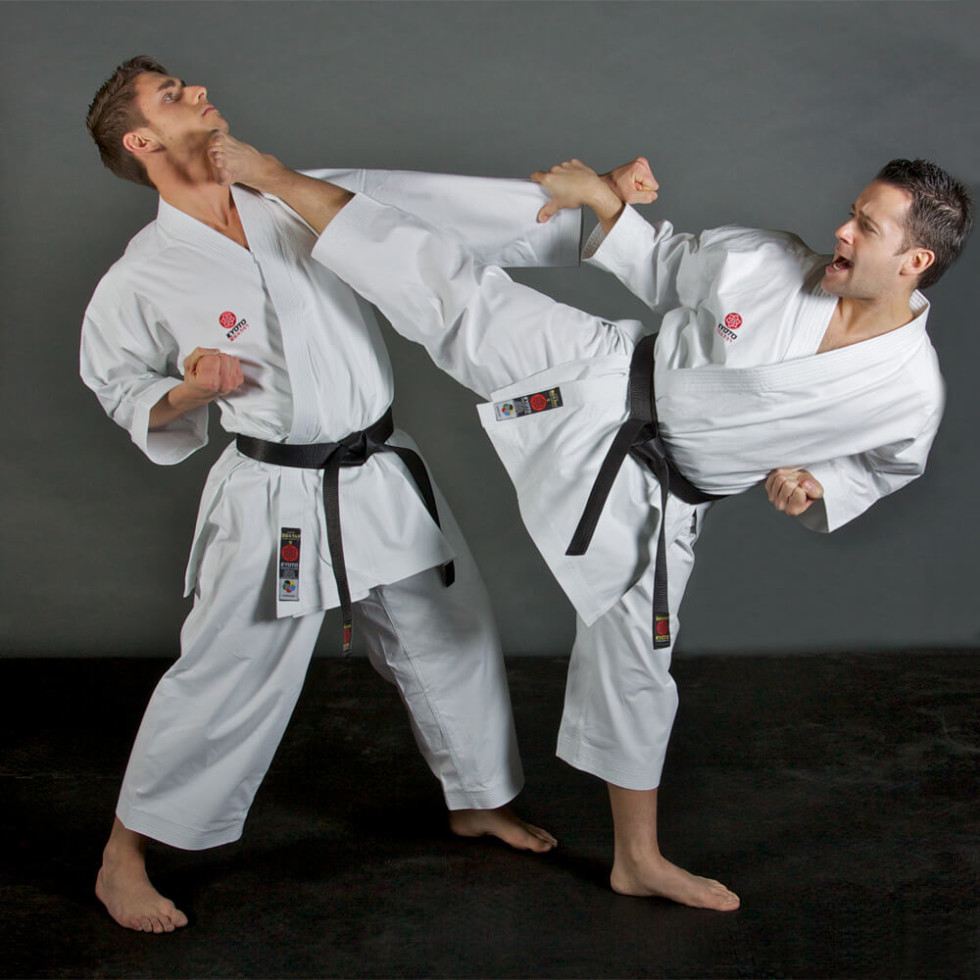Discover the Fascinating World of Karate Twin Dragons